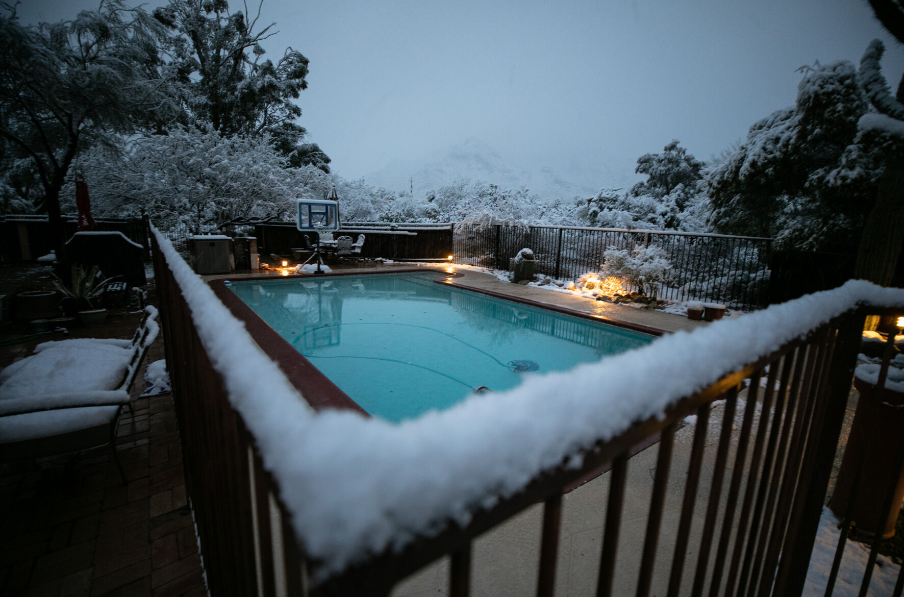 Snow, Tucson, 2023